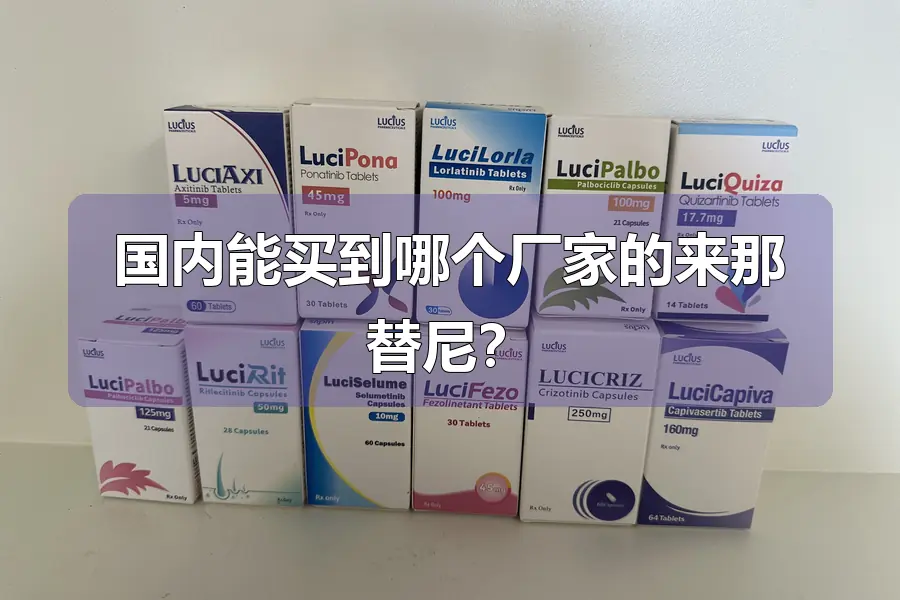国内能买到哪个厂家的来那替尼？